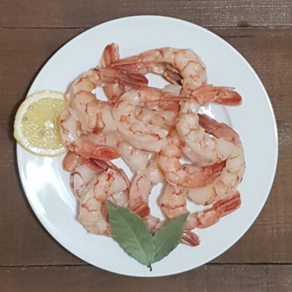 Argentina Shrimp