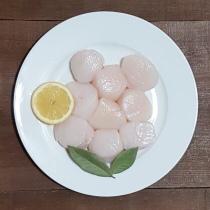 Scallops - Atlantic