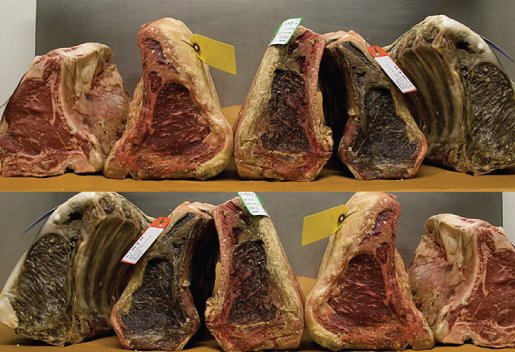 Aged Beef. How does it work?