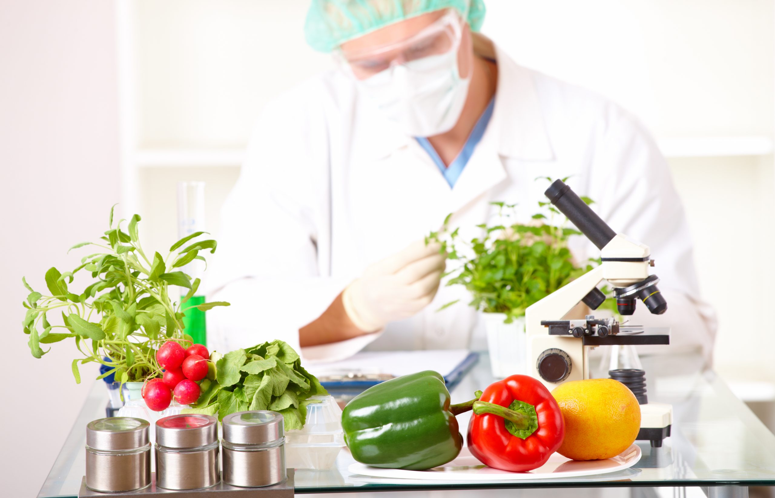 GMO’s in Food: Why They Are Used